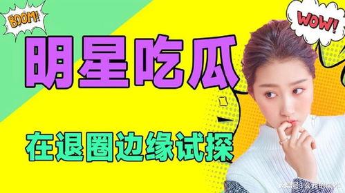 吃瓜娱乐圈类小说